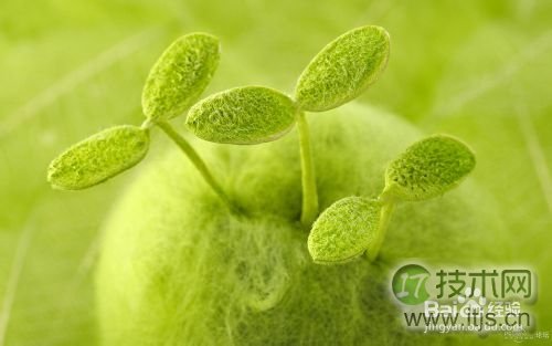 如何将windows 7系统窗口背景颜色设置为护眼色?(图1) Windows 7设置窗口颜色为护眼色