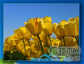 windows 7系统右击桌面快捷小工具使用介绍(图2) 幻灯片放映