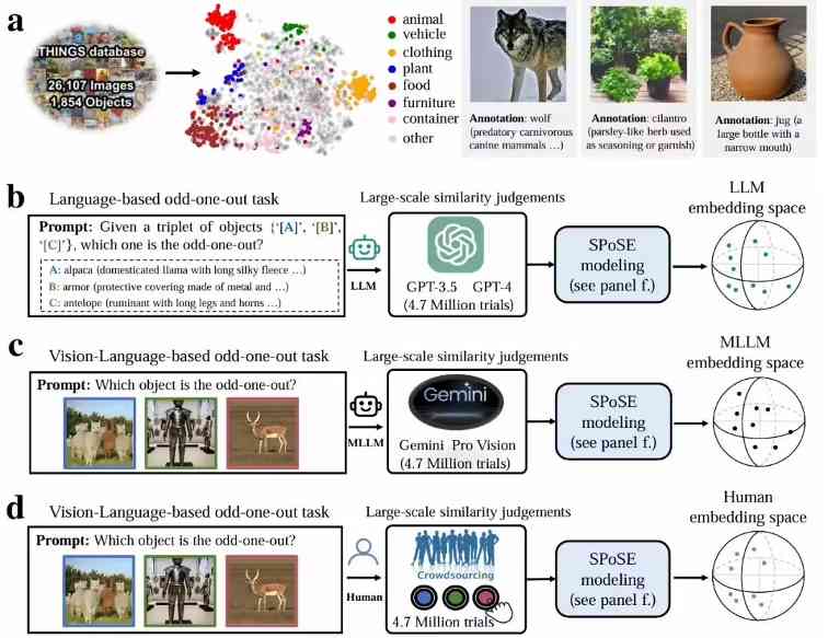 43457493j00sxo9yu00lid000u000n6p 中国科学院科学家首次证实:大语言模型能像人类一样“理解”事物