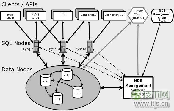 www.itjs.cn