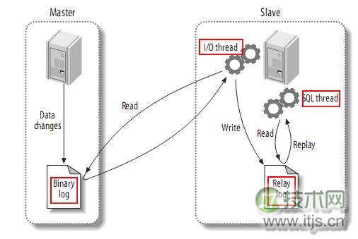 mysql