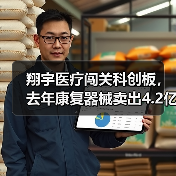翔宇医疗闯关科创板,去年康复器械卖出4.2亿元 翔宇医疗闯关科创板,去年康复器械卖出4.2亿元