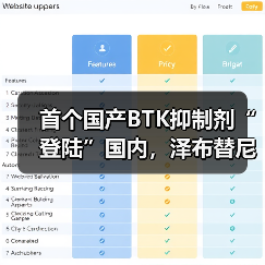 首个国产BTK抑制剂“登陆”国内，泽布替尼会是下个百亿药品吗？