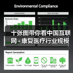 十张图带你看中国互联网+康复医疗行业规模与发展趋势分析 十张图带你看中国互联网+康复医疗行业规模与发展趋势分析