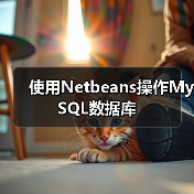 使用Netbeans操作MySQL数据库 使用Netbeans操作MySQL数据库