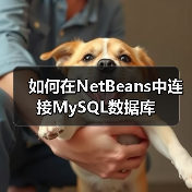 如何在NetBeans中连接MySQL数据库 如何在NetBeans中连接MySQL数据库