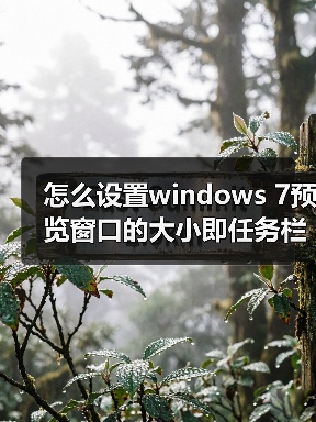 怎么设置windows 7预览窗口的大小即任务栏略缩图的尺寸大小