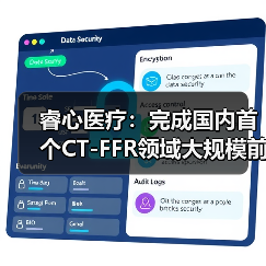 睿心医疗:完成国内首个CT-FFR领域大规模前瞻性临床试验(图2) 睿心医疗:完成国内首个CT-FFR领域大规模前瞻性临床试验(图2)