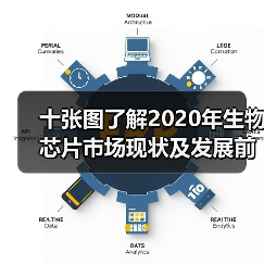 十张图了解2020年生物芯片市场现状及发展前景 中国市场将超百亿元(图4) 十张图了解2020年生物芯片市场现状及发展前景 中国市场将超百亿元(图4)