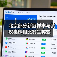 北京部分新冠样本与武汉毒株相比发生突变(图1) 北京部分新冠样本与武汉毒株相比发生突变(图1)