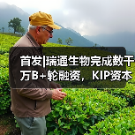 首发|瑞通生物完成数千万B+轮融资，KIP资本领投（图2）