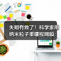 失明有救了!科学家用纳米粒子重建视网膜:失明小鼠重获视力(图2) 失明有救了!科学家用纳米粒子重建视网膜:失明小鼠重获视力(图2)