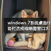 windows 7系统桌面任务栏透视缩略图窗口太小如何调整(图4) windows 7系统桌面任务栏透视缩略图窗口太小如何调整(图4)