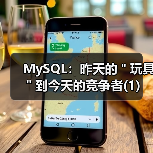 MySQL:昨天的"玩具"到今天的竞争者(1)(图3) MySQL:昨天的"玩具"到今天的竞争者(1)(图3)