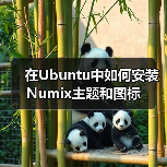 在Ubuntu中如何安装Numix主题和图标（图2）