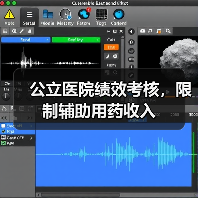 公立医院绩效考核，限制辅助用药收入（图2）