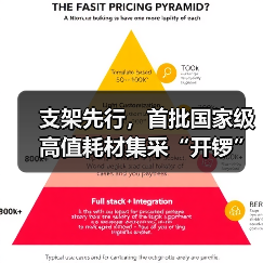 支架先行,首批国家级高值耗材集采“开锣”,千亿市场将生变(图1) 支架先行,首批国家级高值耗材集采“开锣”,千亿市场将生变(图1)