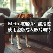 Meta 被起诉:被指控使用盗版成人影片训练 AI 大模型(图2) Meta 被起诉:被指控使用盗版成人影片训练 AI 大模型(图2)
