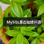 MySQL是否继续开源?(图2) MySQL是否继续开源?(图2)