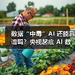 数据“中毒”AI 还能靠谱吗？央视起底 AI 数据污染乱象（图3）