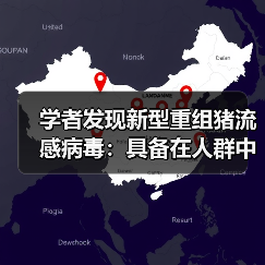 学者发现新型重组猪流感病毒:具备在人群中流行潜力(图2) 学者发现新型重组猪流感病毒:具备在人群中流行潜力(图2)