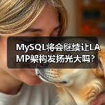 MySQL将会继续让LAMP架构发扬光大吗?(图1) MySQL将会继续让LAMP架构发扬光大吗?(图1)