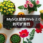 MySQL聚焦Web 2.0的可扩展性（图4）