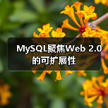 MySQL聚焦Web 2.0的可扩展性（图3）