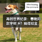再创世界纪录:春晚同款宇树 H1 摘得双金,赢得首届世界人形机器人运动会首日田径赛所有冠军(图3) 再创世界纪录:春晚同款宇树 H1 摘得双金,赢得首届世界人形机器人运动会首日田径赛所有冠军(图3)