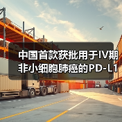 中国首款获批用于IV期非小细胞肺癌的PD-L1药即将上市(图3) 中国首款获批用于IV期非小细胞肺癌的PD-L1药即将上市(图3)