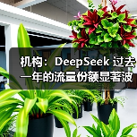 机构：DeepSeek 过去一年的流量份额显著波动（图3）