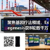 聚焦基因疗法领域,Exegenesis获B轮数千万美元融资(图3) 聚焦基因疗法领域,Exegenesis获B轮数千万美元融资(图3)