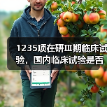 1235项在研Ⅲ期临床试验,国内临床试验是否已经国际化?(图4) 1235项在研Ⅲ期临床试验,国内临床试验是否已经国际化?(图4)