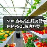 Sun 宣布推出服务器专用MySQL解决方案(图4) Sun 宣布推出服务器专用MySQL解决方案(图4)