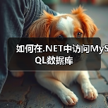 如何在.NET中访问MySQL数据库(图4) 如何在.NET中访问MySQL数据库(图4)