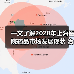 一文了解2020年上海医院药品市场发展现状 治疗性药品占比超5成(图3) 一文了解2020年上海医院药品市场发展现状 治疗性药品占比超5成(图3)