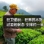 世卫组织:世界回不到过去的状态 全球约一半新冠病例集中在3个国家(图3) 世卫组织:世界回不到过去的状态 全球约一半新冠病例集中在3个国家(图3)