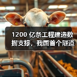 1200 亿条工程建造数据支撑，我国首个隧道与地下空间领域垂直大模型发布（图2）