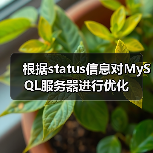 根据status信息对MySQL服务器进行优化（图3）