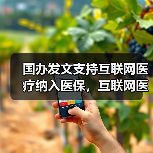 国办发文支持互联网医疗纳入医保,互联网医疗板块起飞(图1) 国办发文支持互联网医疗纳入医保,互联网医疗板块起飞(图1)
