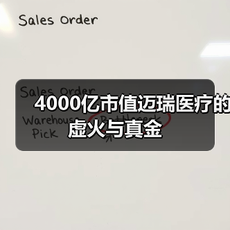 4000亿市值迈瑞医疗的虚火与真金(图4) 4000亿市值迈瑞医疗的虚火与真金(图4)