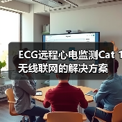 ECG远程心电监测Cat 1无线联网的解决方案（图2）