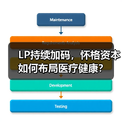 LP持续加码,怀格资本如何布局医疗健康?(图4) LP持续加码,怀格资本如何布局医疗健康?(图4)