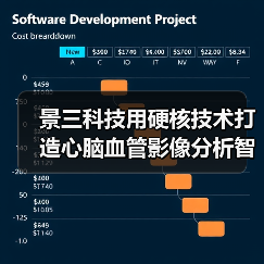 景三科技用硬核技术打造心脑血管影像分析智慧平台（图1）