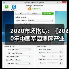 2020市场格局：《2020年中国基因测序产业竞争格局全局观》（图2）