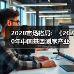 2020市场格局：《2020年中国基因测序产业竞争格局全局观》（图4）
