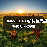 MySQL 6.0新特性展望 多项功能增强(图1) MySQL 6.0新特性展望 多项功能增强(图1)
