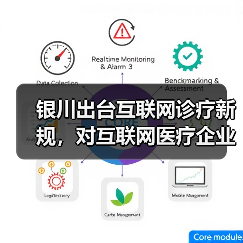银川出台互联网诊疗新规，对互联网医疗企业影响几何？（图4）