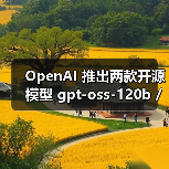 OpenAI 推出两款开源模型 gpt-oss-120b / 20b,性能逼近 o4-mini/o3-mini(图4) OpenAI 推出两款开源模型 gpt-oss-120b / 20b,性能逼近 o4-mini/o3-mini(图4)