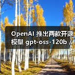 OpenAI 推出两款开源模型 gpt-oss-120b / 20b,性能逼近 o4-mini/o3-mini(图2) OpenAI 推出两款开源模型 gpt-oss-120b / 20b,性能逼近 o4-mini/o3-mini(图2)